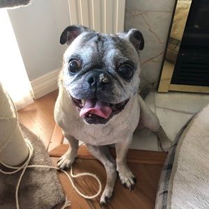 Meet your Posher, Shoko